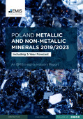 Poland Metallic and Non-Metallic Mineral Mining Sector Report 2019/2023 - Page 1