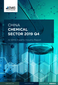 China Chemical Sector Report 2019 4th Quarter - Page 1