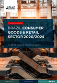 Brazil Consumer Goods and Retail Sector Report 2020/2024 - Page 1
