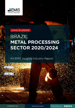 Brazil Metal Processing Sector Report 2020/2024 - Page 1