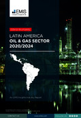Latin America Oil and Gas Sector Regional Report 2020/2024 - Page 1