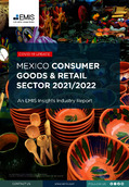 Mexico Consumer Good Retail Sector 2021-2022 - Page 1