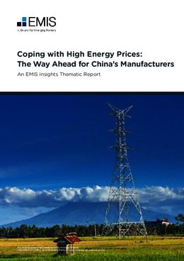 Coping with High Energy Prices: The Way Ahead for China&rsquo;s Manufacturers - Page 1
