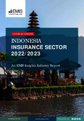 Indonesia Insurance Sector Report 2022-2023 - Page 1
