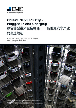 China's NEV Industry - Plugged in and Charging - Page 1