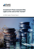 Investment Flows Towards EMs: Light at the End of the Tunnel - Page 1