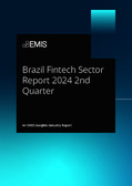 Brazil Fintech Sector Report 2024 2nd Quarter - Page 1