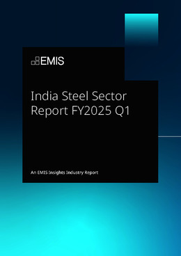 India Steel Sector Report FY2025 Q1 - Page 1