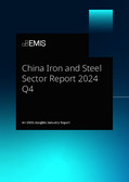 China Iron and Steel Sector Report 2024 Q4 - Page 1