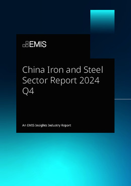 China Iron and Steel Sector Report 2024 Q4 - Page 1