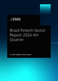 Brazil Fintech Sector Report 2024 4th Quarter - Page 1