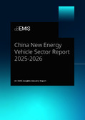 China New Energy Vehicle Sector Report 2024-2025 - Page 1